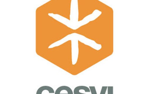 Logo-_0042_Cesvi